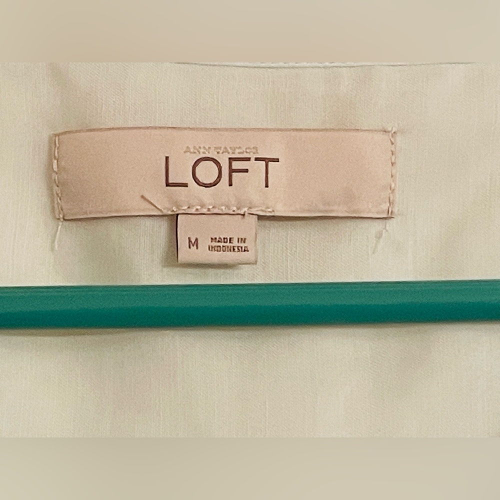Loft SheerL/Sleeved Blpuse W/Bib Pleating and Buttons, Light Green Size M EUC - Picture 3 of 8